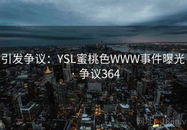 引发争议：YSL蜜桃色WWW事件曝光 · 争议364
