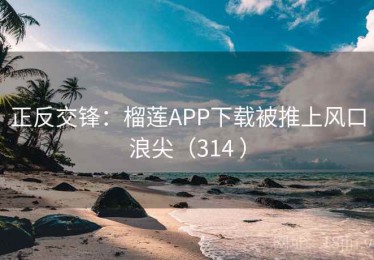 正反交锋：榴莲APP下载被推上风口浪尖（314 ）