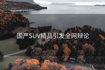 国产SUV精品引发全网辩论