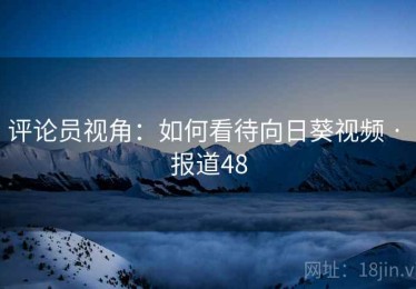评论员视角：如何看待向日葵视频 · 报道48